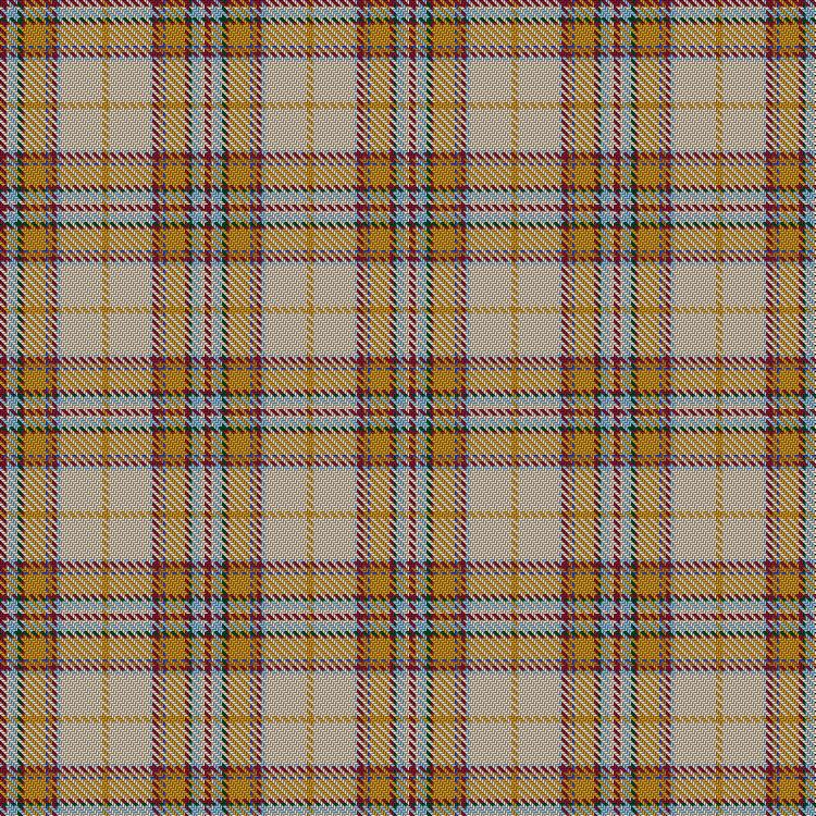 Tartan image: Young Women's Movement, The. Click on this image to see a more detailed version.