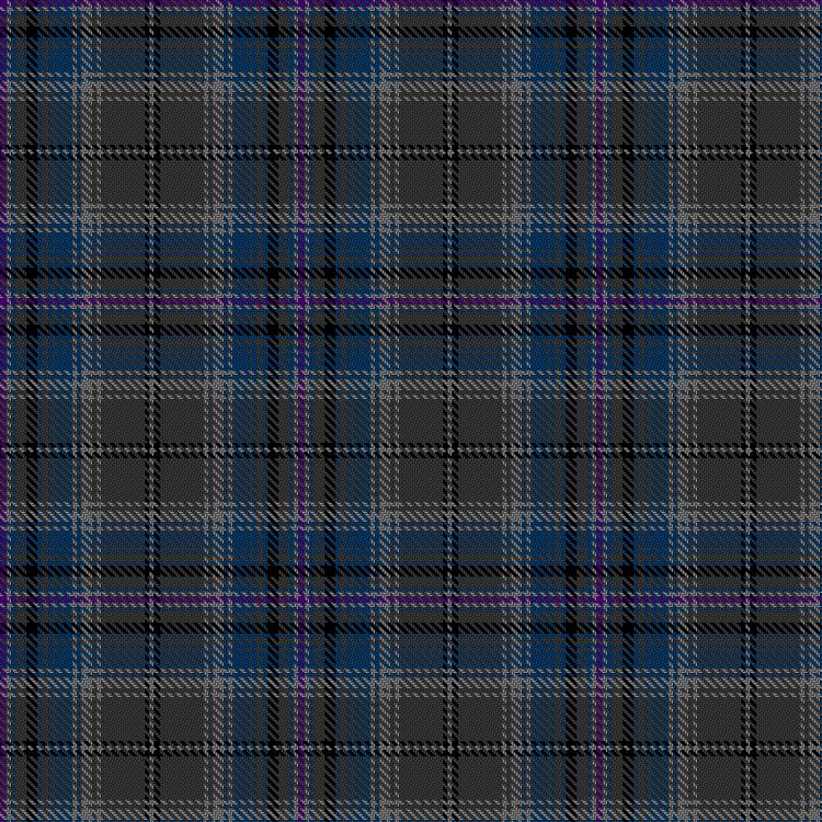 Tartan image: Raj, Mark & Family (Personal). Click on this image to see a more detailed version.