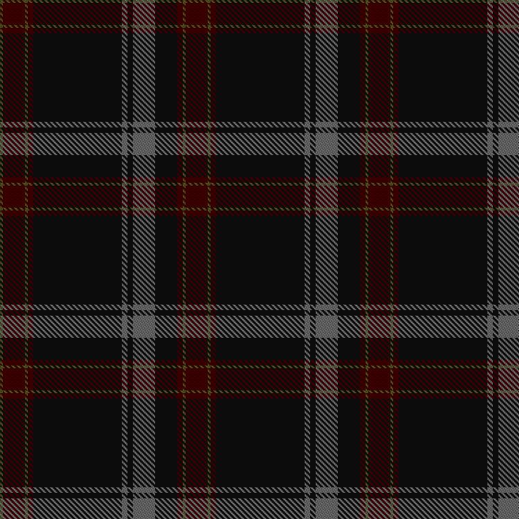 Tartan image: Howard, J and Basu, N & Family (Personal). Click on this image to see a more detailed version.