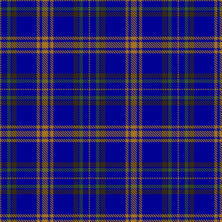 Tartan image: Pontelli, E & Family (Personal). Click on this image to see a more detailed version.