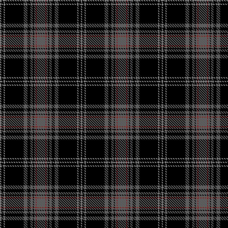 Tartan image: Relihan, D & Family (Personal). Click on this image to see a more detailed version.