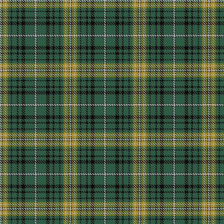 Tartan image: Avalon - Calvert House. Click on this image to see a more detailed version.