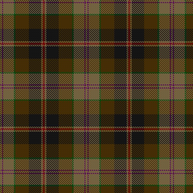 Tartan image: Goddin mab Gododdin (Personal). Click on this image to see a more detailed version.