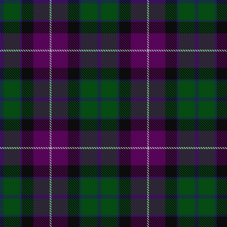 Tartan image: Gold Brothers. Click on this image to see a more detailed version.