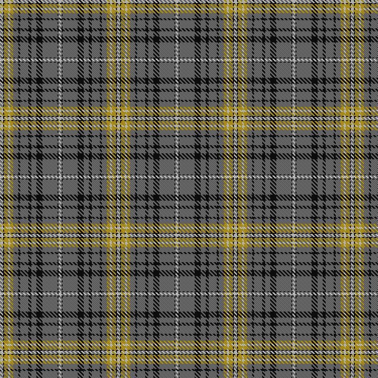 Tartan image: Avalon - Washington House. Click on this image to see a more detailed version.