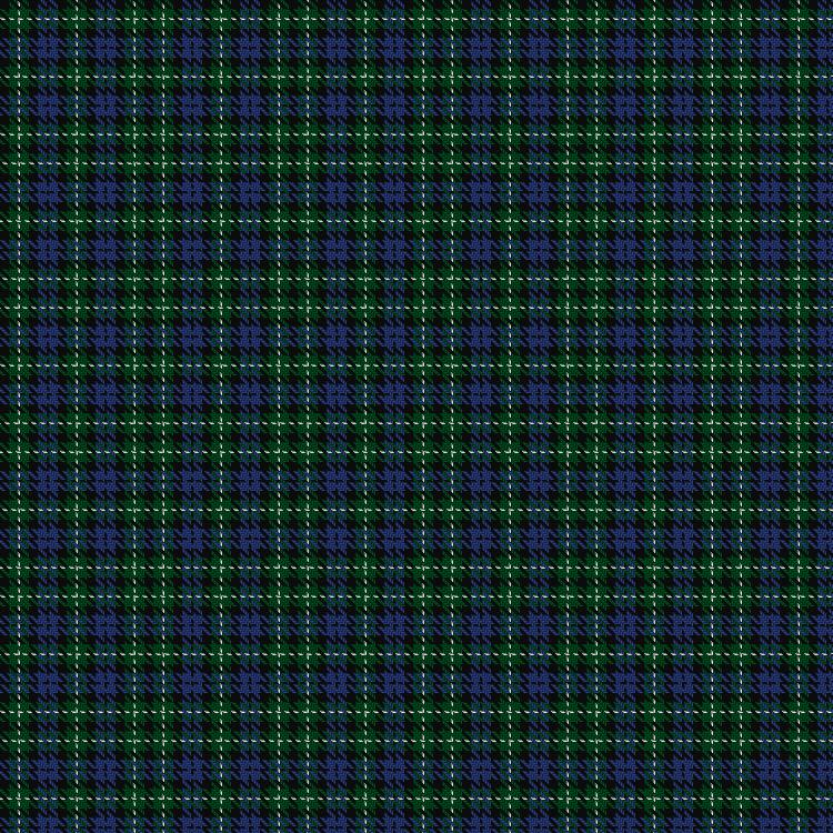 Tartan image: Graham of Montrose #3. Click on this image to see a more detailed version.