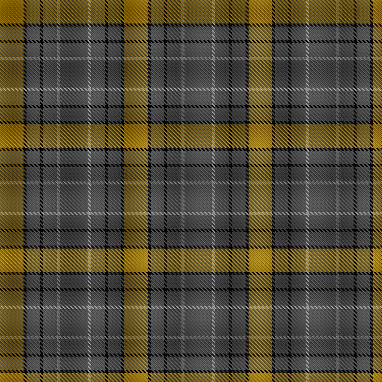 Tartan image: Grange School. Click on this image to see a more detailed version.