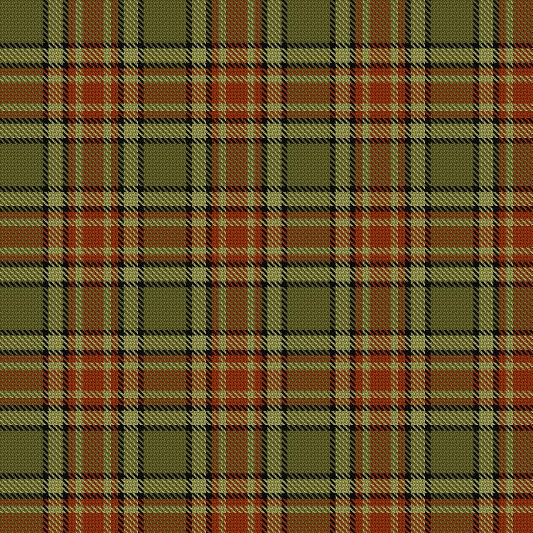 Tartan image: Grant, Champion to the Laird of. Click on this image to see a more detailed version.