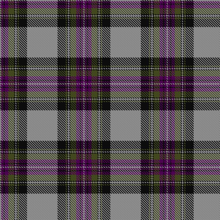 Tartan image: Grotto Dove. Click on this image to see a more detailed version.