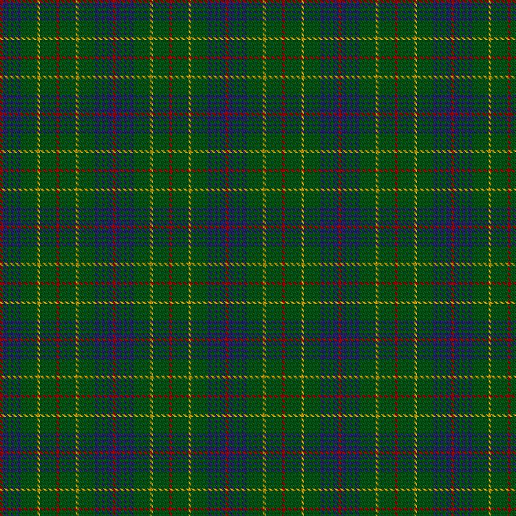 Tartan image: Ayrton of Laoch (Personal). Click on this image to see a more detailed version.