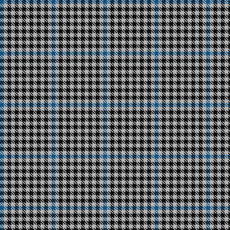 Tartan image: Haig Check. Click on this image to see a more detailed version.