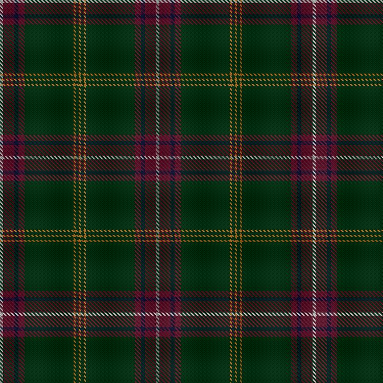 Tartan image: Hall, from Springbrook and Newtown (Personal). Click on this image to see a more detailed version.
