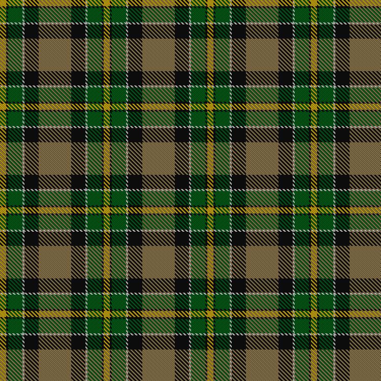 Tartan image: Hamilton of Brandon. Click on this image to see a more detailed version.