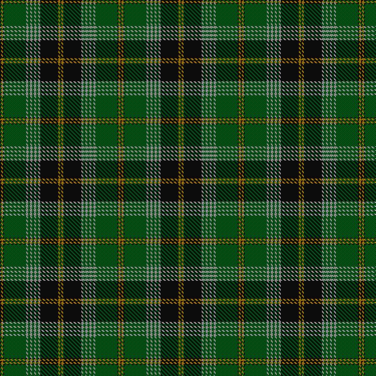 Tartan image: Hammarby Football Club. Click on this image to see a more detailed version.