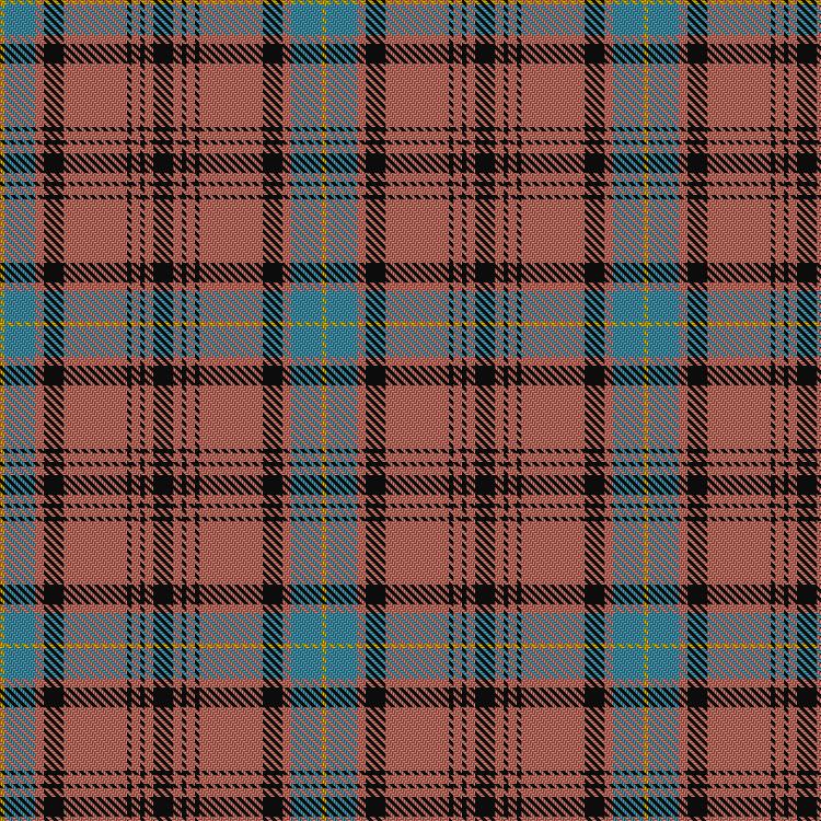 Tartan image: Hannay Dress. Click on this image to see a more detailed version.