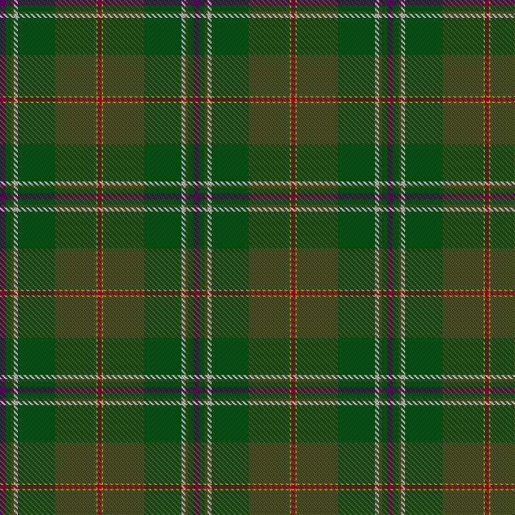 Tartan image: Hannigan of Dirleton (Personal). Click on this image to see a more detailed version.