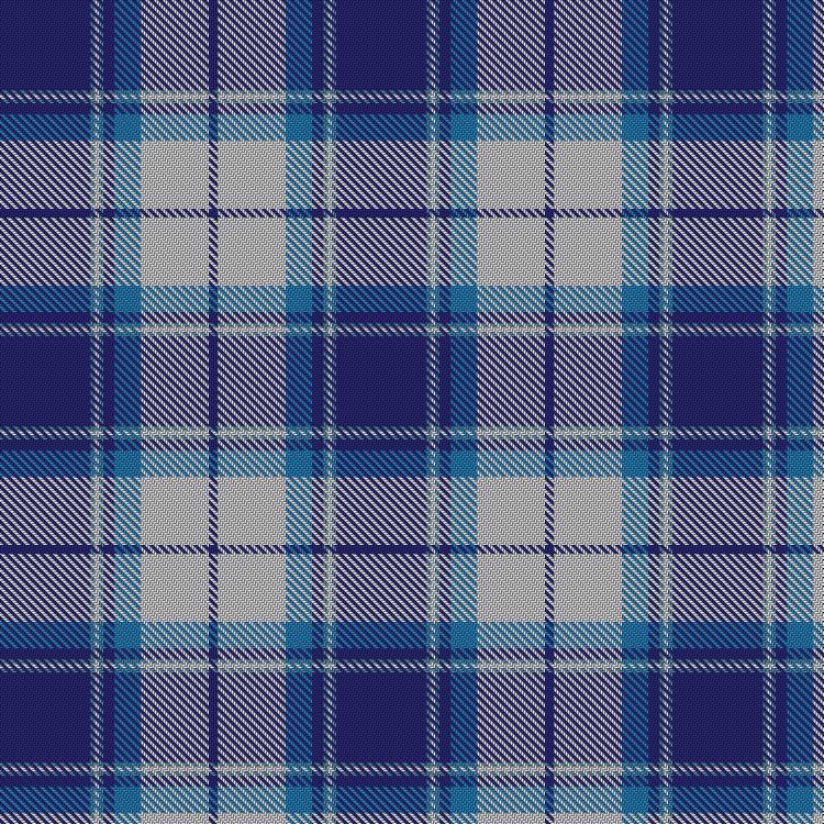 Tartan image: Harmony Eildon. Click on this image to see a more detailed version.