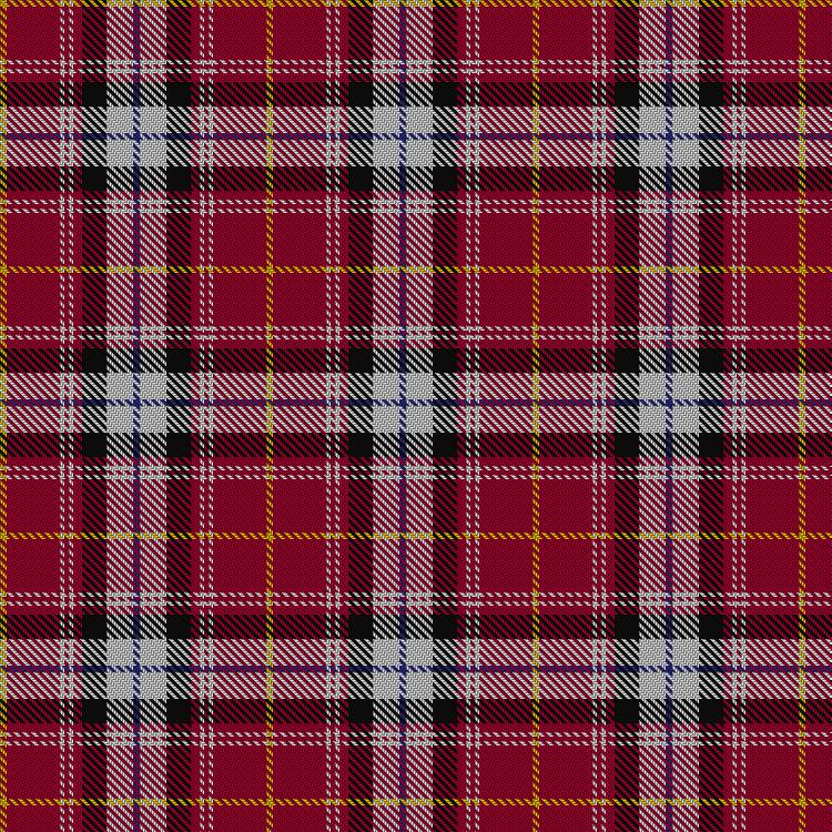 Tartan image: Heart of Midlothian Football Club. Click on this image to see a more detailed version.