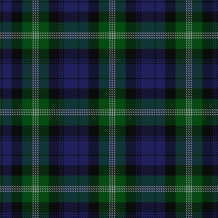 Tartan image: Baillie of Polkemmet. Click on this image to see a more detailed version.