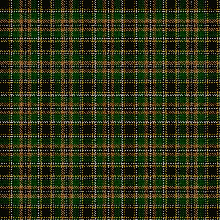 Tartan image: Hebrides. Click on this image to see a more detailed version.
