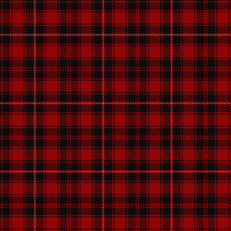 Tartan image: Unnamed C18th – Hebridean #2. Click on this image to see a more detailed version.