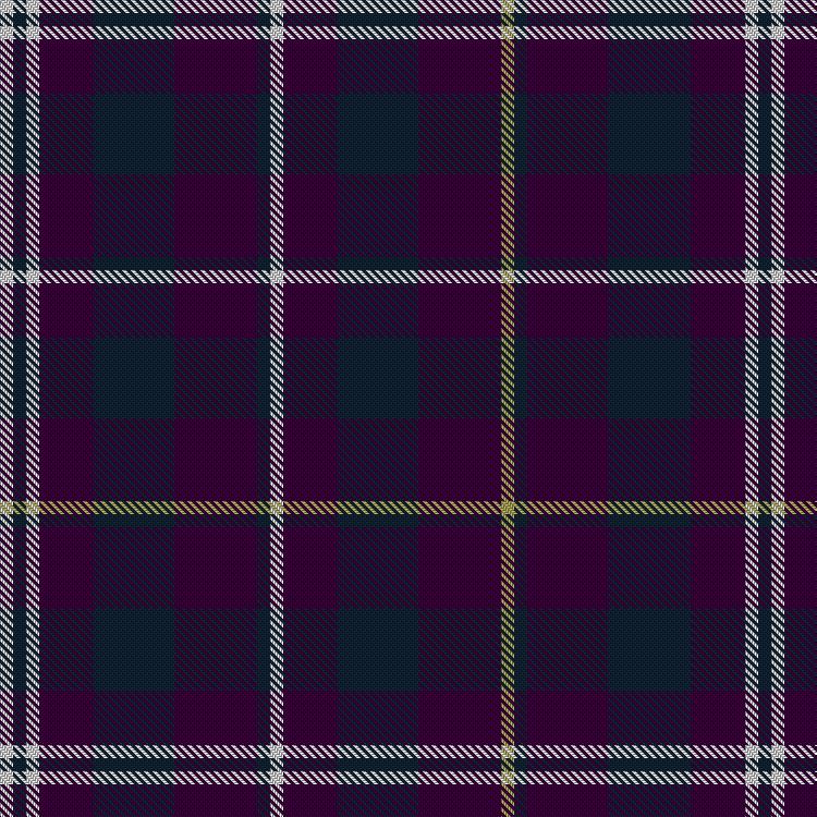 Tartan image: Henbury. Click on this image to see a more detailed version.