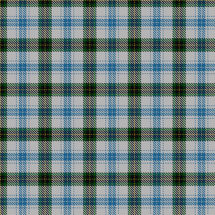 Tartan image: Henderson Dress #1. Click on this image to see a more detailed version.