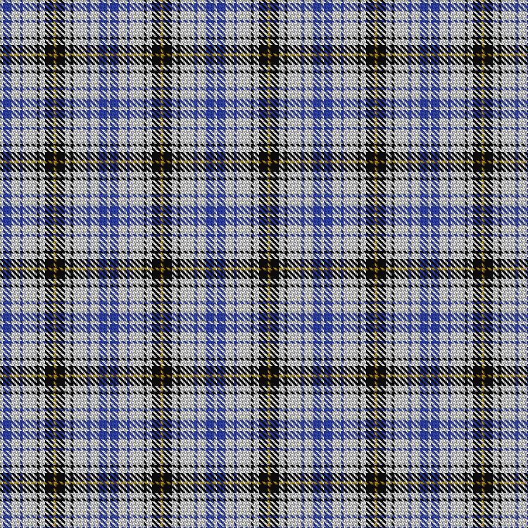 Tartan image: Henderson Dress (Dance). Click on this image to see a more detailed version.