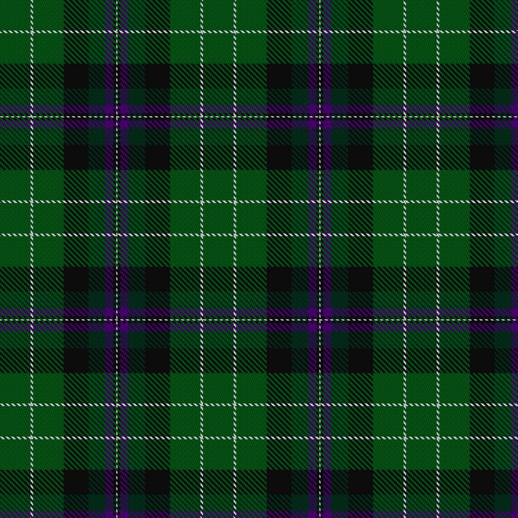 Tartan image: Hibernian Football Club. Click on this image to see a more detailed version.