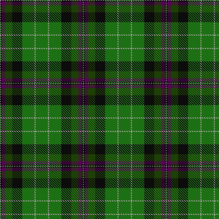 Tartan image: Hibernian Football Club (2004). Click on this image to see a more detailed version.