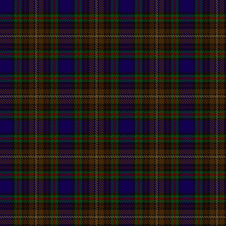 Tartan image: Highfield Hunting. Click on this image to see a more detailed version.
