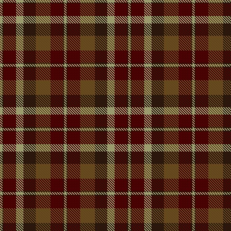 Tartan image: Highland Village. Click on this image to see a more detailed version.