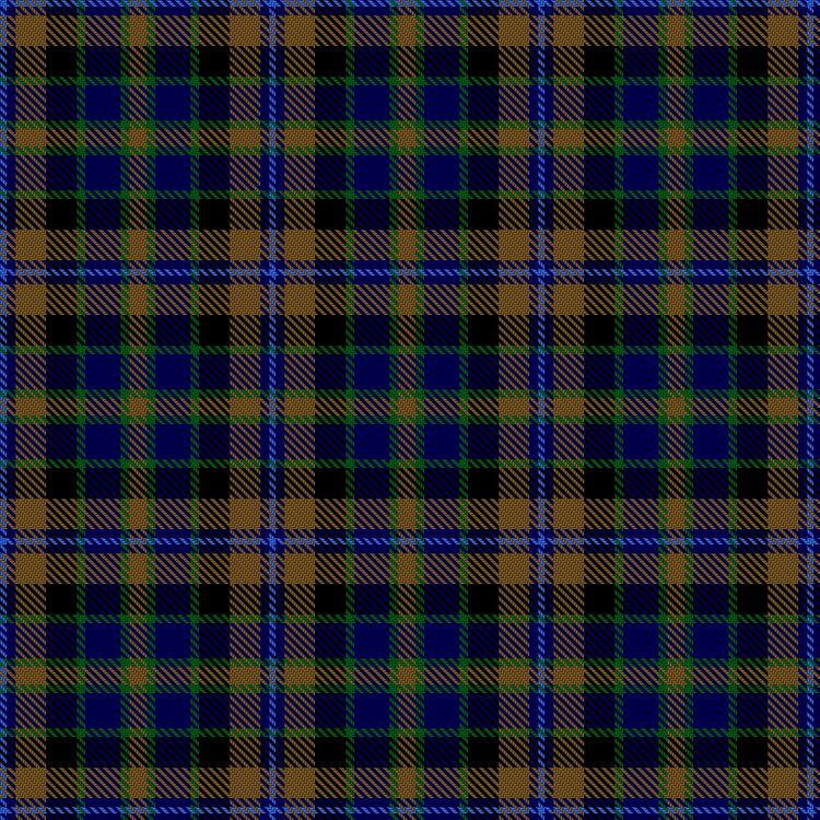 Tartan image: Hinnigan (Personal). Click on this image to see a more detailed version.