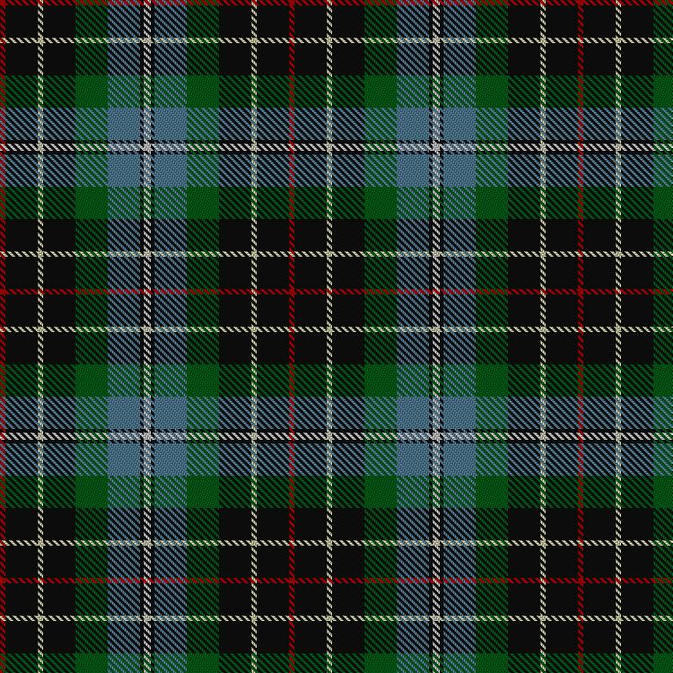 Tartan image: Hislop/Hyslop Hunting. Click on this image to see a more detailed version.