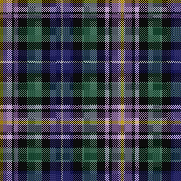 Tartan image: Hoban (Personal). Click on this image to see a more detailed version.