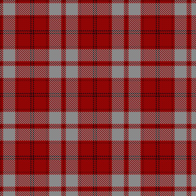 Tartan image: Hose #2. Click on this image to see a more detailed version.