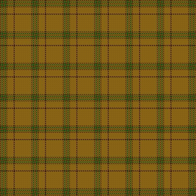 Tartan image: Houston #2 (Personal). Click on this image to see a more detailed version.