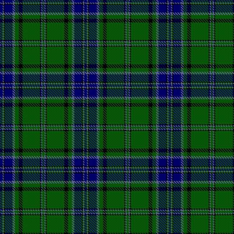 Tartan image: Hudson Hunting (Personal). Click on this image to see a more detailed version.