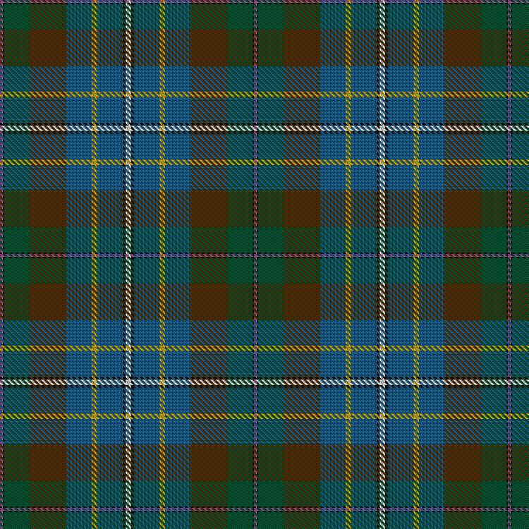 Tartan image: Hughes Interconnection Int.. Click on this image to see a more detailed version.