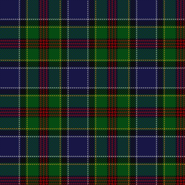 Tartan image: Hunnisett/Edinchip (Personal). Click on this image to see a more detailed version.