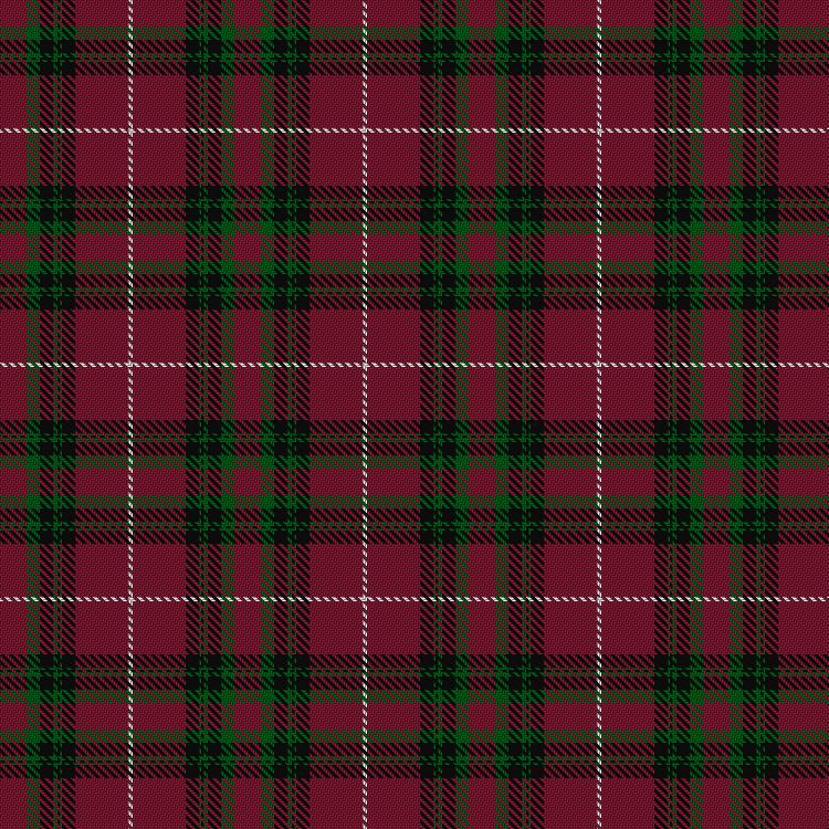 Tartan image: Hunter of Bute (Personal). Click on this image to see a more detailed version.