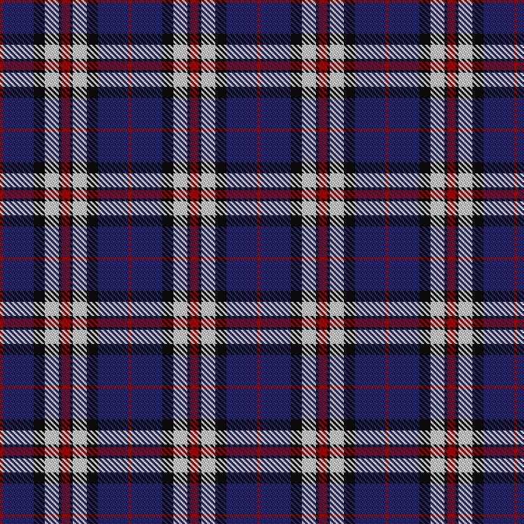 Tartan image: Hydro-Electric. Click on this image to see a more detailed version.