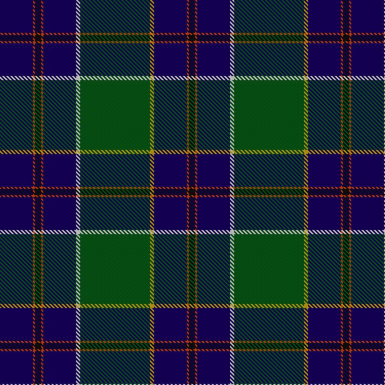 Tartan image: Inkster. Click on this image to see a more detailed version.