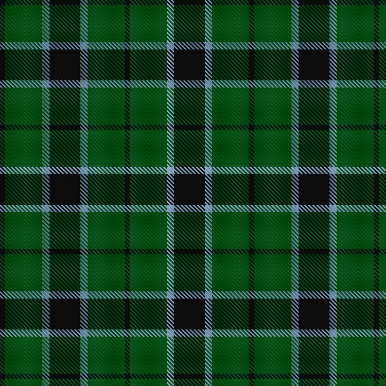 Tartan image: Innes Hunting. Click on this image to see a more detailed version.