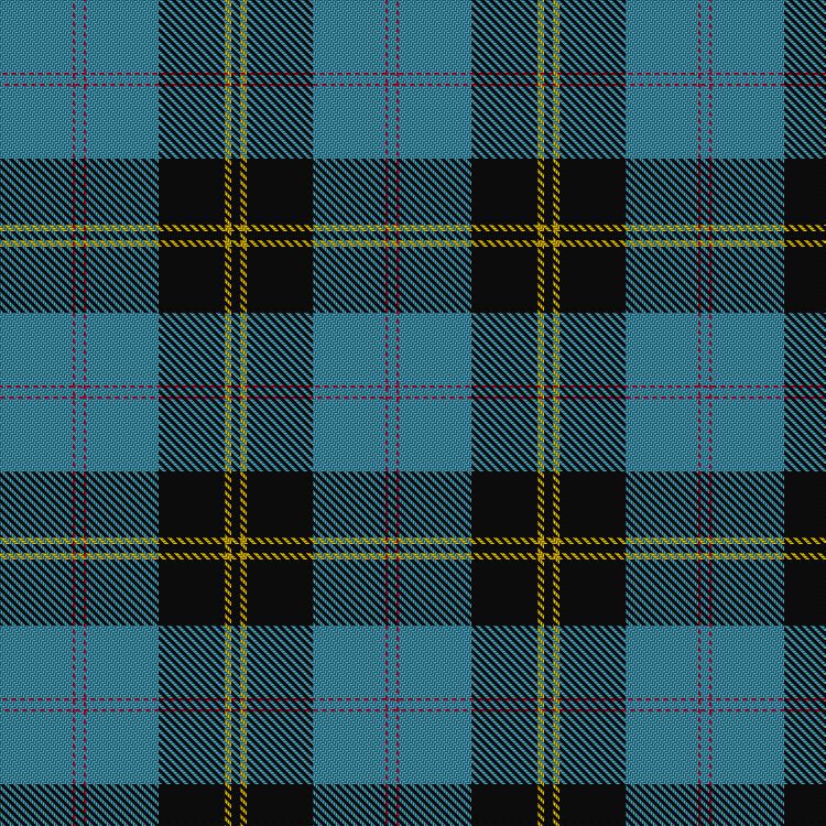 Tartan image: Intergen. Click on this image to see a more detailed version.