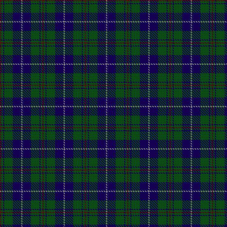 Tartan image: Irving of Bonshaw Tower (Personal). Click on this image to see a more detailed version.