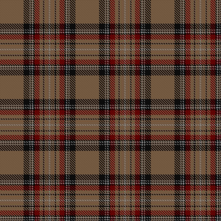 Tartan image: Islay. Click on this image to see a more detailed version.