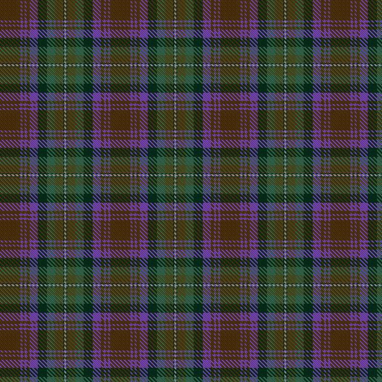 Tartan image: Isle of Skye. Click on this image to see a more detailed version.
