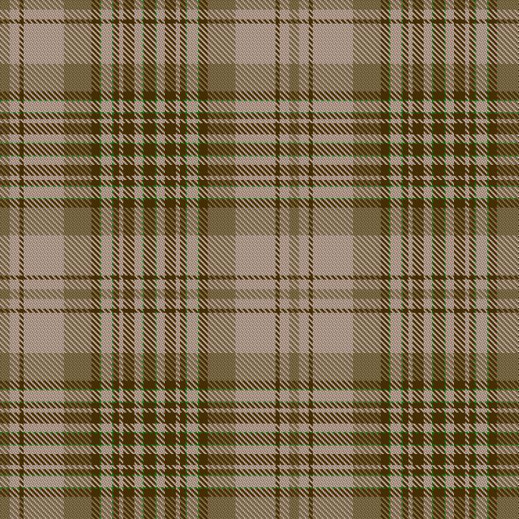 Tartan image: Isle of Skye (Dalgety). Click on this image to see a more detailed version.