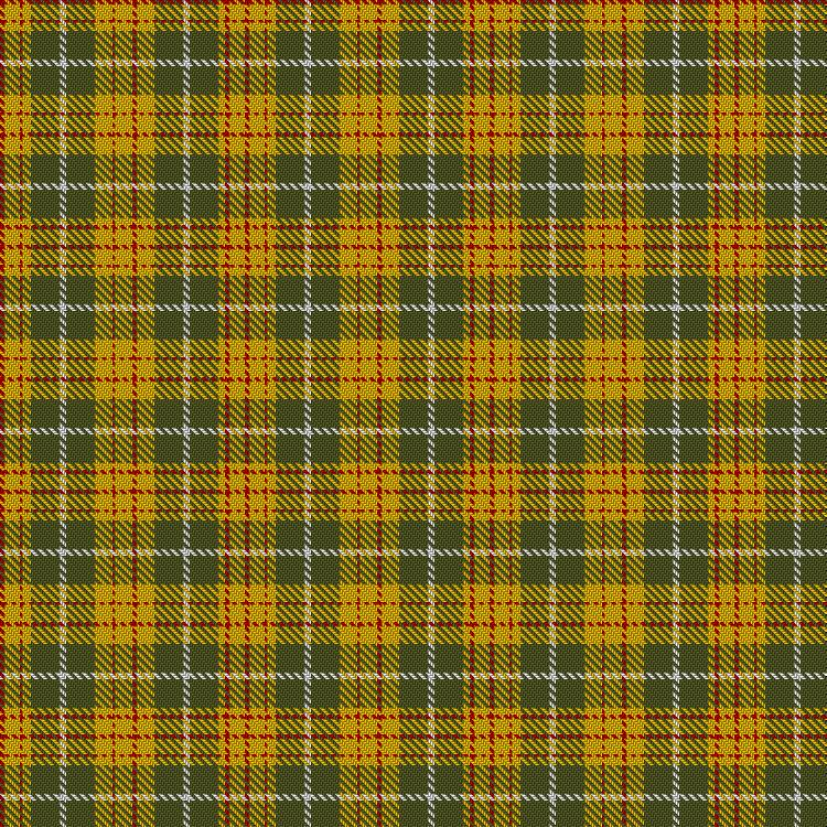 Tartan image: J & B Whisky (Original). Click on this image to see a more detailed version.